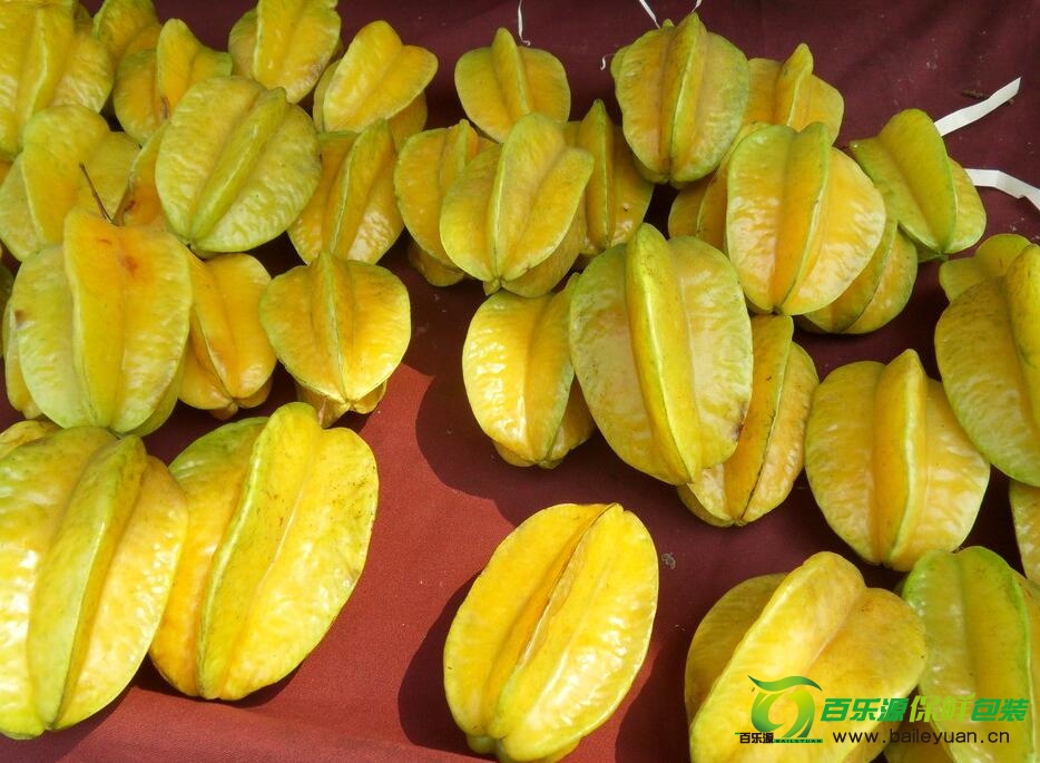 楊桃怎么這么貴？