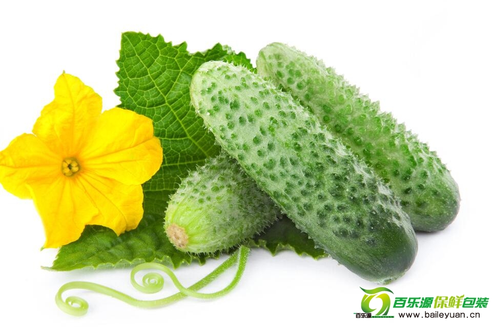 如何辨別有毒黃瓜？