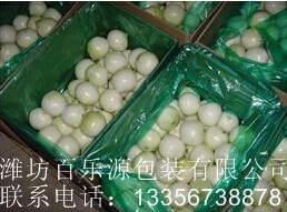 百樂源洋蔥的采收和儲(chǔ)藏技術(shù)指導(dǎo)