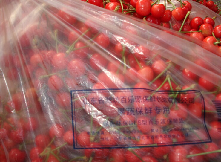 櫻桃的采收和保鮮儲(chǔ)藏技術(shù)指導(dǎo)