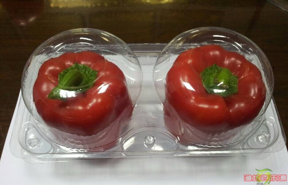 五彩椒專(zhuān)用保鮮盒