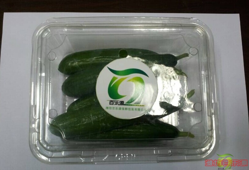黃瓜專用保鮮盒
