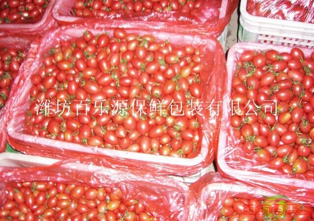 圣女果保鮮貯藏方法