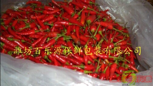 朝天椒專用物理活性保鮮袋