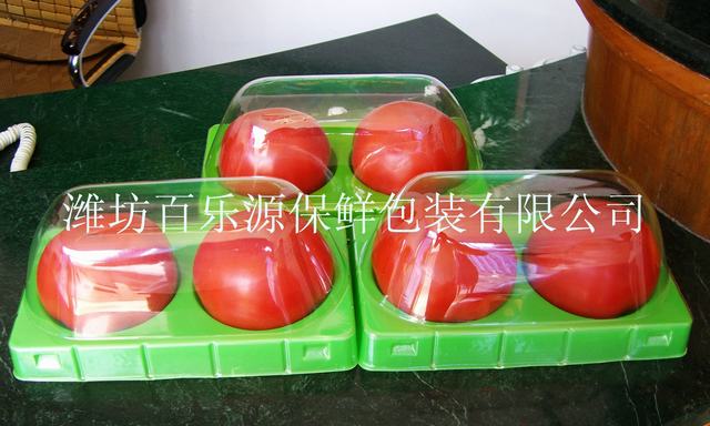2014年百樂源番茄保鮮技術(shù)專用保鮮盒