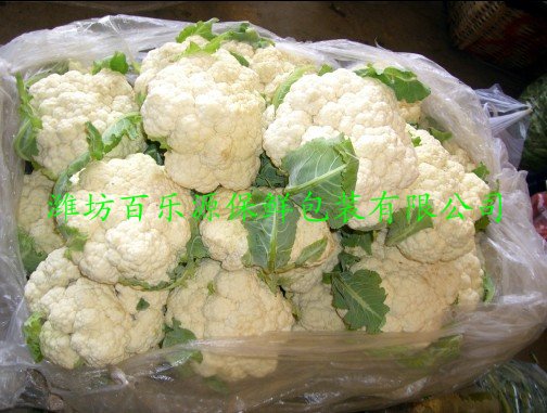 菜花怎么保鮮菜花保鮮技術(shù)