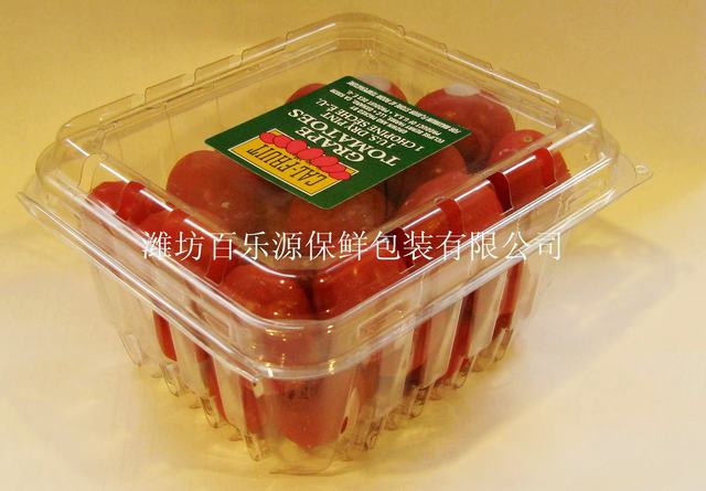 保鮮盒百樂(lè)源