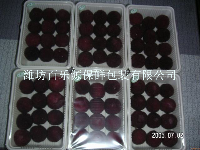 百樂(lè)源楊梅專(zhuān)用保鮮盒