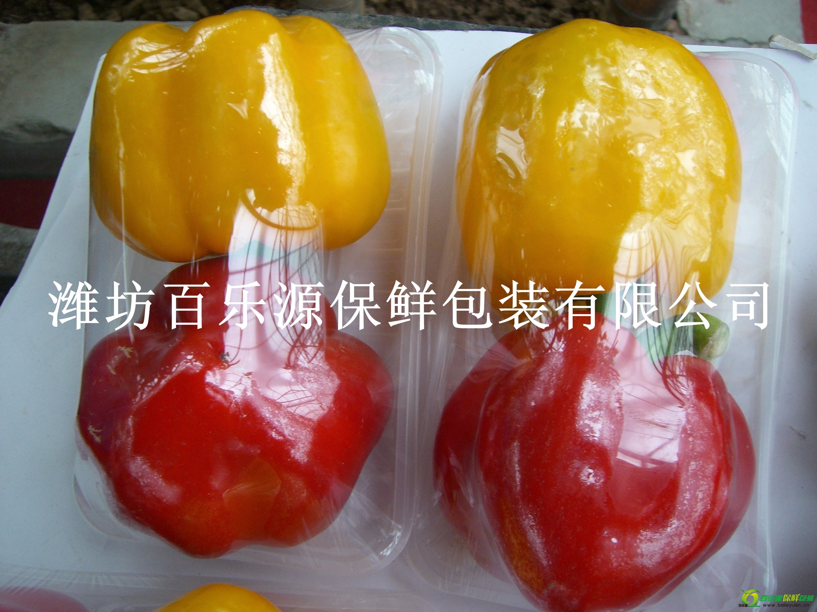 百樂源物理活性菜椒托盤